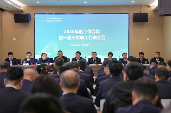 291娱乐集团等三家公司召开2025年度工作会议暨一届三次职工代表大会